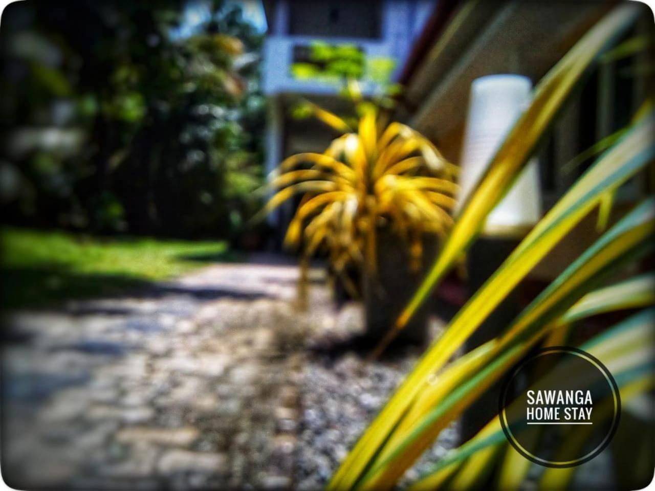 Sawanga Home Stay Weligama Zewnętrze zdjęcie