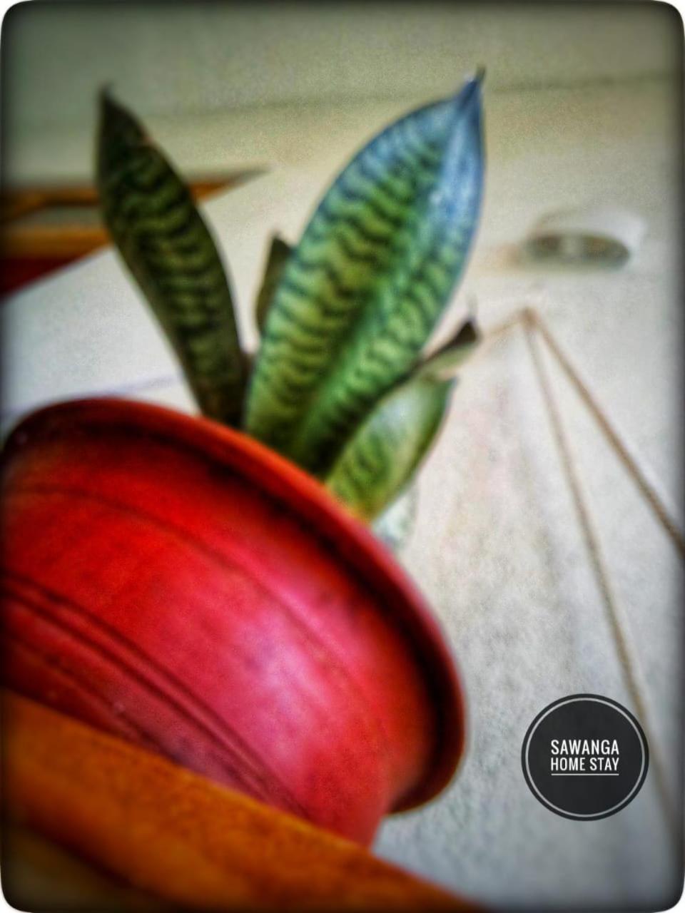 Sawanga Home Stay Weligama Zewnętrze zdjęcie